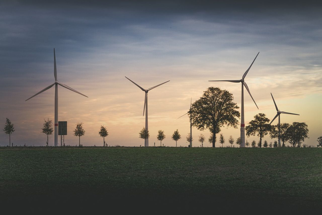 viale alberato con alcune turbine eoliche sullo sfondo