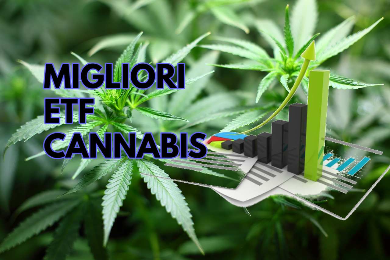 foglie di cannabis e grafico andamentol