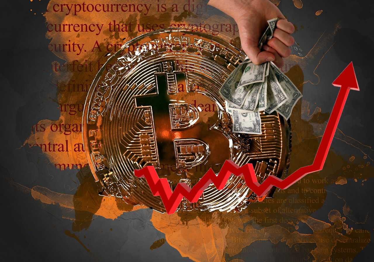 moneta Bitcoin con pugno di dollari e grafico di rialzo