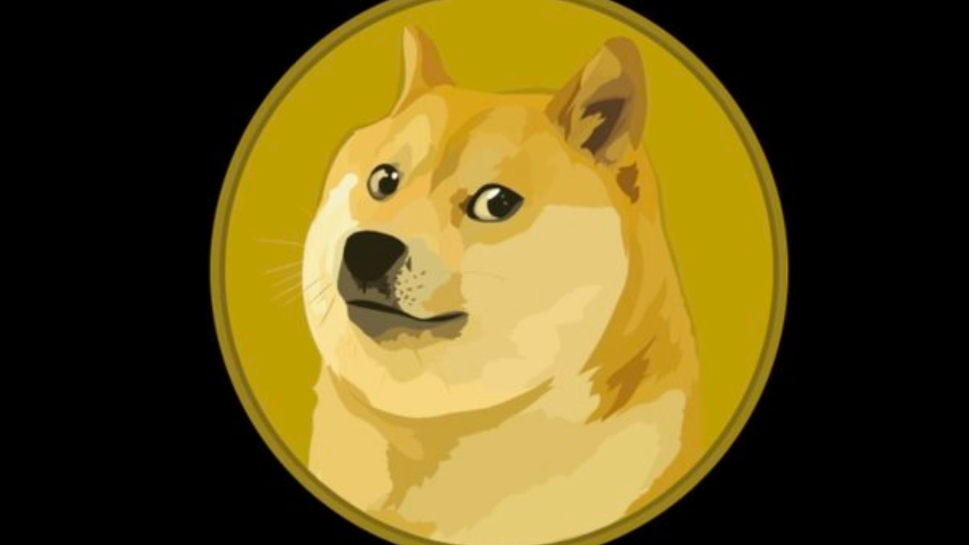 DOGE, Dogecoin, Musk, crypto